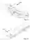Fig. 25 - Rapid pulse programming of seeds using unnatural light exposure