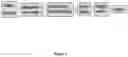 Fig. 02 - Hydroprocessing of heavy crudes by catalysts in homogeneous phase