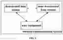 Fig. 02 - Wireless communication system, method, base station, user equipment and device