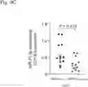 Fig. 07 - CELL-TARGETED NANOPARTICLES TO INHIBIT RNA CARGO