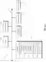 Fig. 03 - Contextually adaptive digital pathology interface