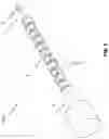 Fig. 02 - Surgical Instrument For Transmitting Torque