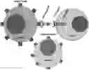 Fig. 01 - Compositions and methods for targeting CD33-expressing cancers