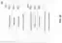 Fig. 35 - DIGITAL TOKENS THAT ARE REDEEMABLE FOR BASKETS OF ITEMS