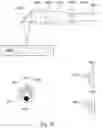 Fig. 41 - Skillful Three-Dimensional Printing