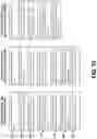 Fig. 21 - Machine translation of chat sessions