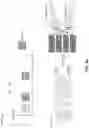 Fig. 08 - POWER SPLITTING FOR AN UPLINK TRANSMISSION USING MULTIPLE ANTENNA PANELS