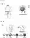 Fig. 02 - METHOD FOR PREPARING POLYDOPAMINE NANOMOTOR USING UREASE, AND USE OF SAME