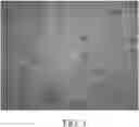 Fig. 02 - STABLE TOPICAL TETRACYCLINE COMPOSITIONS