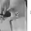 Fig. 30 - Robotic navigation of robotic surgical systems