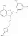Fig. 511 - SELECTIVE GRP94 INHIBITORS AND USES THEREOF