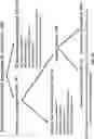 Fig. 80 - MOLECULAR PROFILING OF TUMORS