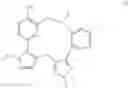 Fig. 02 - Solid forms, pharmaceutical compositions and preparation of heteroaromatic macrocyclic ether compounds
