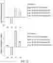Fig. 34 - IN VIVO mRNA DISPLAY: LARGE-SCALE PROTEOMICS BY NEXT GENERATION SEQUENCING