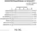 Fig. 71 - IN VIVO mRNA DISPLAY: LARGE-SCALE PROTEOMICS BY NEXT GENERATION SEQUENCING