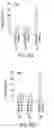 Fig. 86 - IN VIVO mRNA DISPLAY: LARGE-SCALE PROTEOMICS BY NEXT GENERATION SEQUENCING
