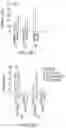 Fig. 87 - IN VIVO mRNA DISPLAY: LARGE-SCALE PROTEOMICS BY NEXT GENERATION SEQUENCING