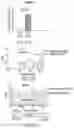 Fig. 91 - IN VIVO mRNA DISPLAY: LARGE-SCALE PROTEOMICS BY NEXT GENERATION SEQUENCING