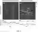 Fig. 02 - IDENTIFICATION OF LIGAND BINDING SITES IN INTRINSICALLY DISORDERED PROTEINS WITH
DIFFERENTIAL BINDING SCORES