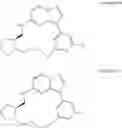 Fig. 02 - MACROCYCLIC RIP2-KINASE INHIBITORS