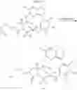 Fig. 35 - MACROCYCLIC RIP2-KINASE INHIBITORS