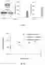 Fig. 07 - ENGINEERED BACTERIA AND METHODS OF PRODUCING SUSTAINABLE BIOMOLECULES