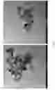 Fig. 02 - Preparation of Magnetic Core-Shell Particles