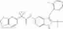Fig. 216 - MODULATORS OF ATP-BINDING CASSETTE TRANSPORTERS