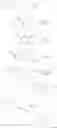 Fig. 484 - MODULATORS OF ATP-BINDING CASSETTE TRANSPORTERS