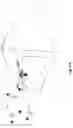 Fig. 16 - Lamp and assembling method thereof