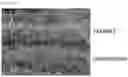 Fig. 04 - METHOD FOR ENHANCING CHARACTERISTICS OF PLANT