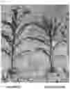 Fig. 08 - METHOD FOR ENHANCING CHARACTERISTICS OF PLANT