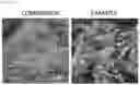 Fig. 09 - METHOD FOR ENHANCING CHARACTERISTICS OF PLANT