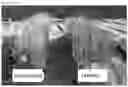 Fig. 11 - METHOD FOR ENHANCING CHARACTERISTICS OF PLANT