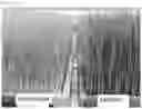 Fig. 12 - METHOD FOR ENHANCING CHARACTERISTICS OF PLANT