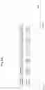 Fig. 11 - Image forming system that starts to execute calibration at insertion start timing of interleaving paper