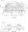 Fig. 06 - Devices and methods for treating epistaxis