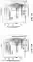 Fig. 22 - Genetically modified non-human animals with common light chain immunoglobulin locus