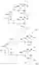 Fig. 02 - PHOTOSITE OF A DEPTH PIXEL