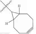 Fig. 303 - DIRECTED CONJUGATION TECHNOLOGIES