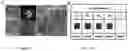 Fig. 08 - Direct 4D printing gradient structure ceramics