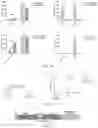 Fig. 09 - CD7-CAR-T CELL AND PREPARATION AND APPLICATION THEREOF