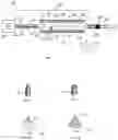Fig. 02 - Inline heater for a peritoneal dialysis system