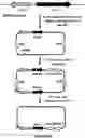Fig. 01 - MONOVALENT VACCINE FORMULATION AND A METHOD FOR PREPARATION THEREOF
