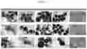 Fig. 02 - SILVER-TITANIUM OXIDE COMPLEX PARTICLE AND METHOD OF PREPARING THE SAME