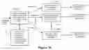 Fig. 20 - Methods and systems for low latency automated trading