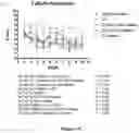 Fig. 05 - IMMUNOTHERAPEUTIC MODULATION OF AMYLOIDOGENIC DISEASE USING NON-FIBRILLOGENIC, NON-AMYLOIDOGENIC POLYMERIZED PROTEINS AND PEPTIDES