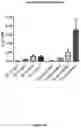 Fig. 14 - IMMUNOTHERAPEUTIC MODULATION OF AMYLOIDOGENIC DISEASE USING NON-FIBRILLOGENIC, NON-AMYLOIDOGENIC POLYMERIZED PROTEINS AND PEPTIDES