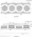 Fig. 03 - BOTTOM-EMITTING MULTIJUNCTION VCSEL ARRAY