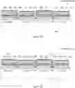 Fig. 04 - BOTTOM-EMITTING MULTIJUNCTION VCSEL ARRAY